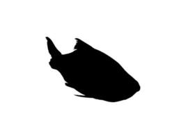 Catla or Katla Fish, also known as the major South Asian Carp, Silhouette for Icon, Symbol, Logo Type, Pictogram, Apps, Website or Graphic Design Element. Vector Illustration