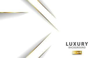 luxury abstract white background banner with god line. vector