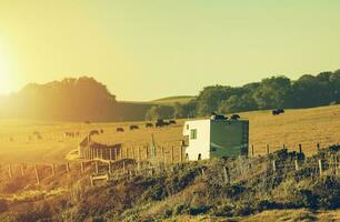 Scenic California Highway 1 Road Trip in a RV Motorhome photo