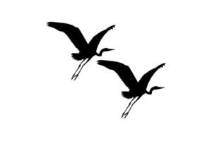 Pair of The Black Heron Bird, Egretta Ardesiaca, also known as the Black Egret Silhouette for Art Illustration, Logo, Pictogram, Website, or Graphic Design Element. Vector Illustration