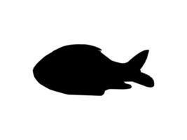 Catla or Katla Fish, also known as the major South Asian Carp, Silhouette for Icon, Symbol, Logo Type, Pictogram, Apps, Website or Graphic Design Element. Vector Illustration