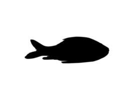 Catla or Katla Fish, also known as the major South Asian Carp, Silhouette for Icon, Symbol, Logo Type, Pictogram, Apps, Website or Graphic Design Element. Vector Illustration