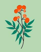 Colorful trendy autumn leaves and berries. Vector illustration of rowan berry for web, app and print. Elegant shapes floristic isolated rowan leaves. Forest, botanical, minimalistic floral set.