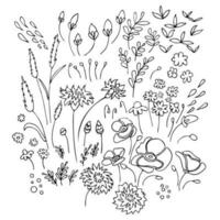 Set of hand drawn outline plants, black and white botanical illustrations, doodle drawing vector