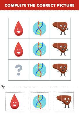 Education game for children to choose and complete the correct picture of a cute cartoon blood dna or liver printable anatomy worksheet