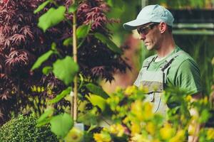 Gardener in the Greenhouse photo