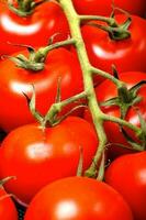 Cherry Tomatoes Close-up photo