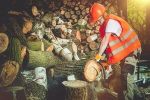 Firewood Logs Preparing photo