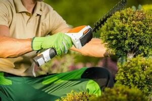 Hand Held Hedge Trimmer in Use photo