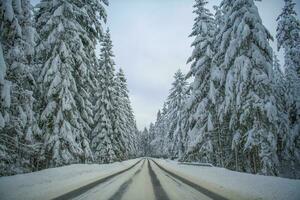 escénico invierno la carretera foto