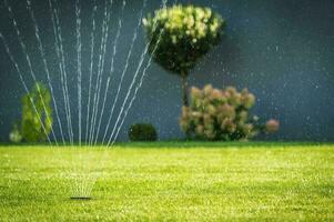 Water Garden Sprinkler photo