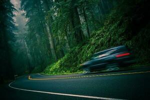 Redwood Highway View photo