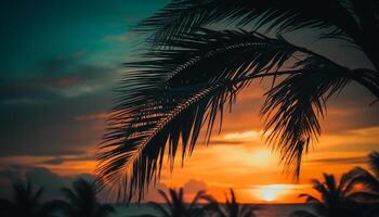 Vibrant sunset silhouettes palm tree against blue sky, tropical paradise generated by AI photo