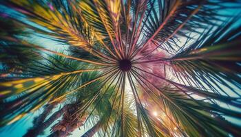 Vibrant tropical palm tree frond illuminated by sunset backdrop generated by AI photo