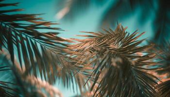 verde palma árbol hoja modelo en azul tropical antecedentes al aire libre generado por ai foto