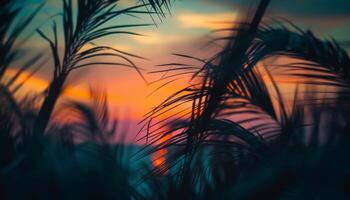 Silhouette of palm tree against vibrant sunset sky background generated by AI photo