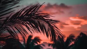 silueta de palma árbol espalda iluminado por vibrante puesta de sol cielo generado por ai foto