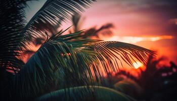 Idyllic tourist resort, palm trees back lit by sunrise and sunset generated by AI photo