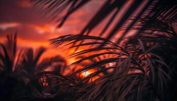 Tranquil sunset silhouette of palm tree in tropical paradise generated by AI photo