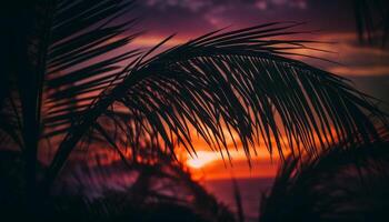 Silhouette of palm tree back lit by sunset over tranquil seascape generated by AI photo