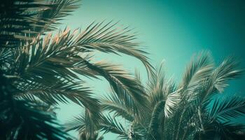 tropical palma árbol silueta en contra un multi de colores puesta de sol fondo generado por ai foto