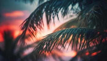 Tranquil sunset on tropical coastline, palm trees silhouetted against orange sky generated by AI photo