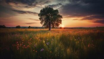 silueta de árbol en contra vibrante puesta de sol cielo en rural prado generado por ai foto