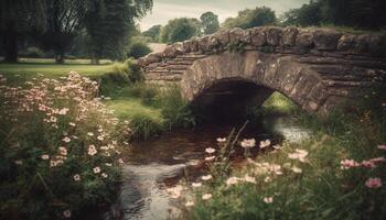 Tranquil canal reflects old architecture in idyllic rural scene generated by AI photo