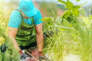 Seasonal Garden Work photo