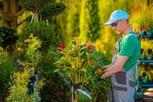 Garden Store Maintenance photo