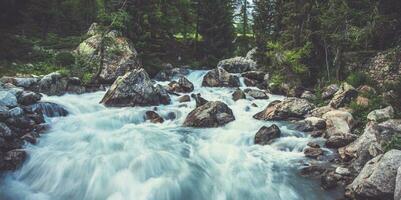 estrecho río en montañas rodeado por arboles y grande cantos rodados foto