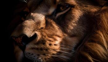 majestuoso león curioso con atención en primer plano, belleza en naturaleza generado por ai foto