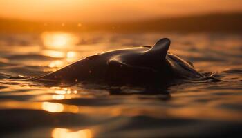 juguetón delfín salpicaduras en tranquilo tropical aguas a puesta de sol generado por ai foto