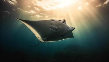 Majestic manta ray swims in awe inspiring underwater seascape generated by AI photo