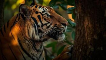 amarillo Bengala Tigre curioso ferozmente, selectivo atención en animal ojo generado por ai foto