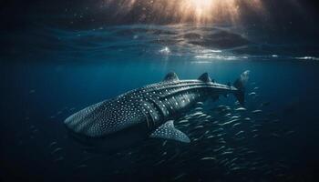 Majestic whale shark swims below the blue sea, surrounded by coral generated by AI photo