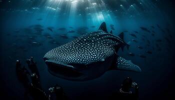 School of fish swimming in majestic coral reef below blue water generated by AI photo