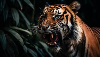 Bengala Tigre curioso ferozmente, dientes desnudo, en tropical selva generado por ai foto