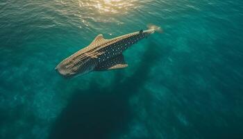 Underwater adventure Majestic turtle swimming in tropical sea beauty generated by AI photo