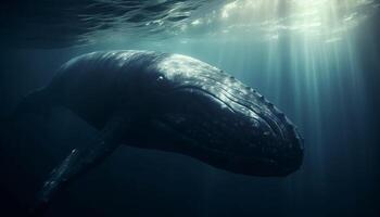 Majestic humpback whale swimming below blue tropical reef wave generated by AI photo