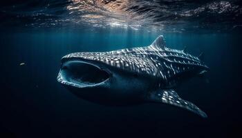 Majestic giant manta ray swimming in tranquil blue reef waters generated by AI photo