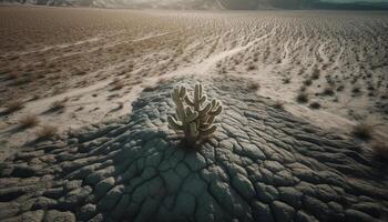 tranquilo puesta de sol terminado árido africano paisaje, exhibiendo natural belleza generado por ai foto