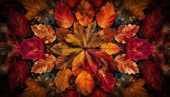 Vibrant autumn foliage, a colorful organic collection of nature beauty generated by AI photo