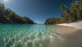 Tropical palm trees sway in the turquoise waters of paradise photo