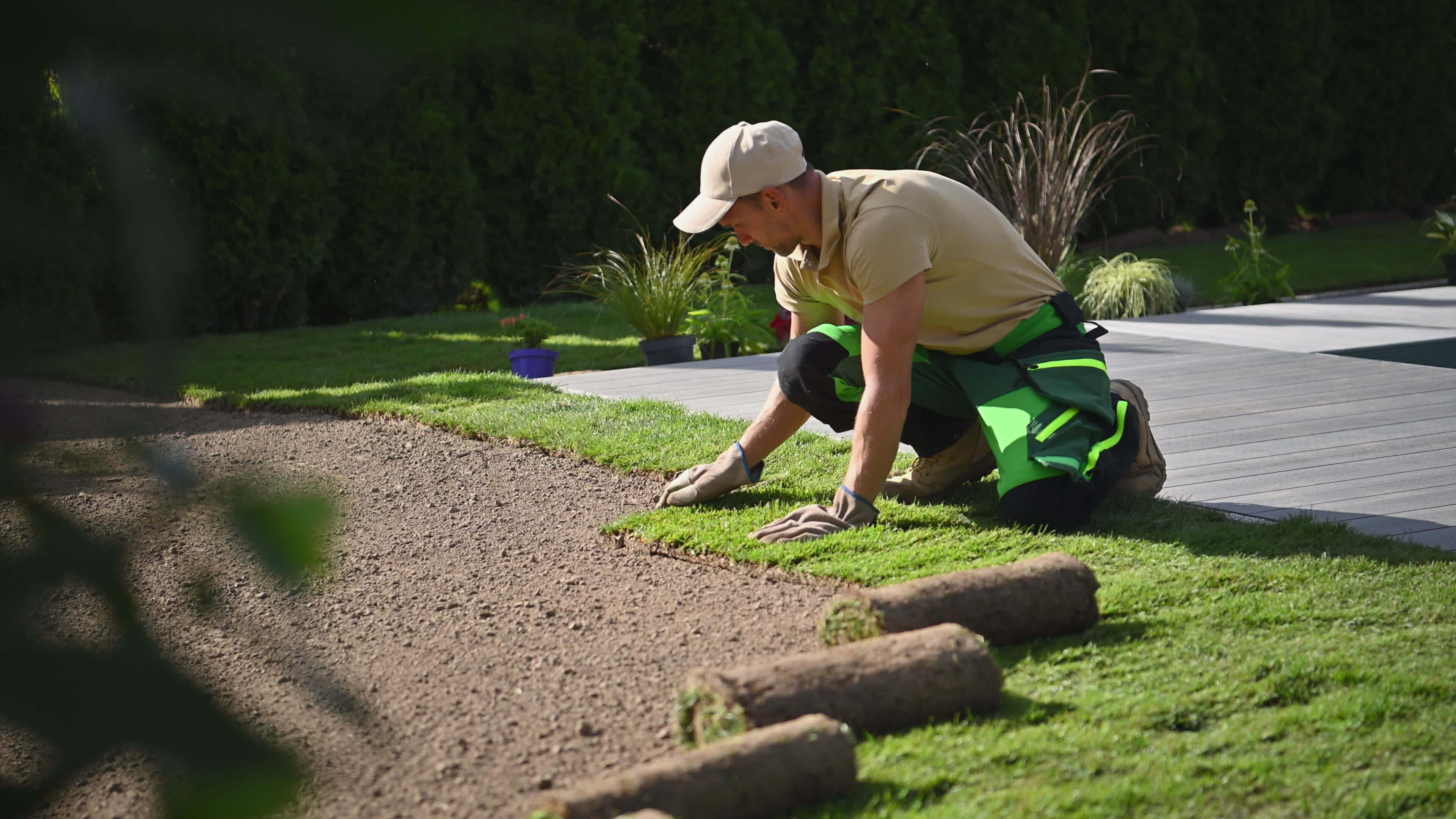 Garden Worker Installing Fresh Natural Grass Turfs From Rolls