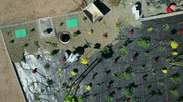 copertura giardino erba controllo tessuto con piccolo decorativo rocce video