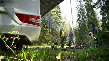 Friends Hanging Out Around Campfire Next to Their Motorhome RV video