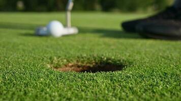 golf spelare placering boll inuti en hål använder sig av putter klubb stänga upp video