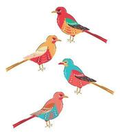 Colored magpie set vector