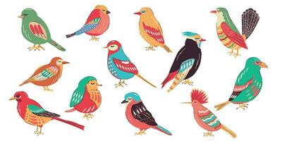 Big set birds vector